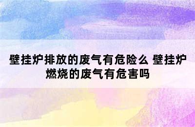 壁挂炉排放的废气有危险么 壁挂炉燃烧的废气有危害吗